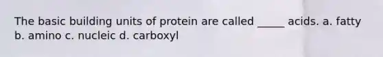 The basic building units of protein are called _____ acids. a. fatty b. amino c. nucleic d. carboxyl