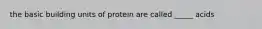 the basic building units of protein are called _____ acids