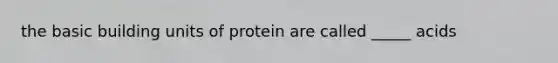 the basic building units of protein are called _____ acids