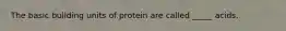 The basic building units of protein are called _____ acids.