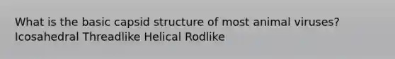 What is the basic capsid structure of most animal viruses? Icosahedral Threadlike Helical Rodlike