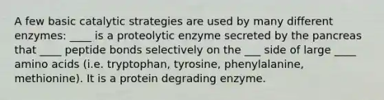 A few basic catalytic strategies are used by many different enzymes: ____ is a proteolytic enzyme secreted by the pancreas that ____ peptide bonds selectively on the ___ side of large ____ amino acids (i.e. tryptophan, tyrosine, phenylalanine, methionine). It is a protein degrading enzyme.