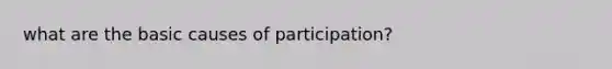 what are the basic causes of participation?