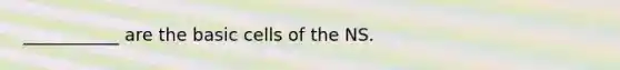 ___________ are the basic cells of the NS.