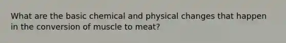 What are the basic chemical and physical changes that happen in the conversion of muscle to meat?