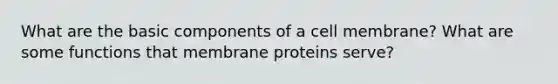 What are the basic components of a cell membrane? What are some functions that membrane proteins serve?