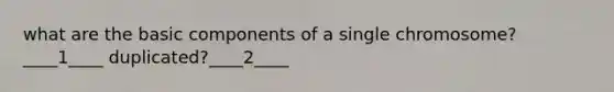 what are the basic components of a single chromosome?____1____ duplicated?____2____