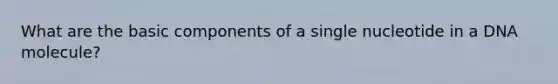 What are the basic components of a single nucleotide in a DNA molecule?