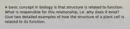 A basic concept in biology is that structure is related to function. What is responsible for this relationship, i.e. why does it exist? Give two detailed examples of how the structure of a plant cell is related to its function.