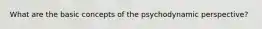 What are the basic concepts of the psychodynamic perspective?