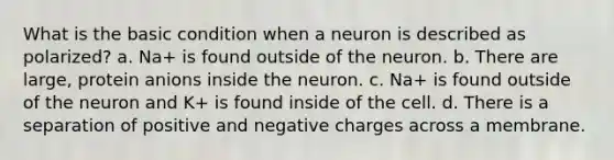 What is the basic condition when a neuron is described as polarized? a. Na+ is found outside of the neuron. b. There are large, protein anions inside the neuron. c. Na+ is found outside of the neuron and K+ is found inside of the cell. d. There is a separation of positive and negative charges across a membrane.