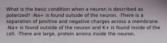 What is the basic condition when a neuron is described as polarized? -Na+ is found outside of the neuron. -There is a separation of positive and negative charges across a membrane. -Na+ is found outside of the neuron and K+ is found inside of the cell. -There are large, protein anions inside the neuron.