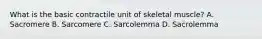 What is the basic contractile unit of skeletal muscle? A. Sacromere B. Sarcomere C. Sarcolemma D. Sacrolemma