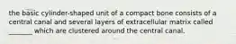 the basic cylinder-shaped unit of a compact bone consists of a central canal and several layers of extracellular matrix called _______ which are clustered around the central canal.