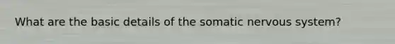 What are the basic details of the somatic <a href='https://www.questionai.com/knowledge/kThdVqrsqy-nervous-system' class='anchor-knowledge'>nervous system</a>?