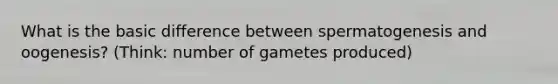 What is the basic difference between spermatogenesis and oogenesis? (Think: number of gametes produced)