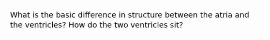 What is the basic difference in structure between the atria and the ventricles? How do the two ventricles sit?