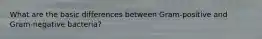 What are the basic differences between Gram-positive and Gram-negative bacteria?