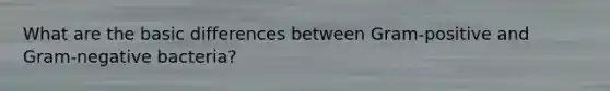 What are the basic differences between Gram-positive and Gram-negative bacteria?