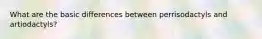 What are the basic differences between perrisodactyls and artiodactyls?