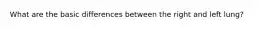 What are the basic differences between the right and left lung?