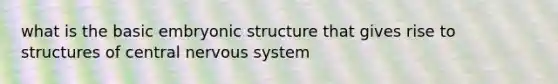 what is the basic embryonic structure that gives rise to structures of central nervous system