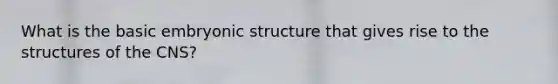 What is the basic embryonic structure that gives rise to the structures of the CNS?