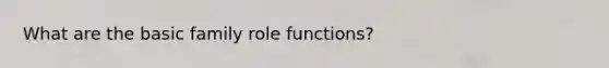 What are the basic family role functions?