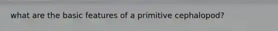what are the basic features of a primitive cephalopod?