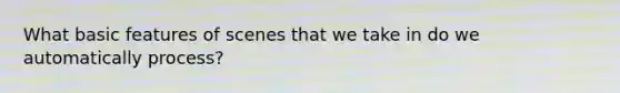 What basic features of scenes that we take in do we automatically process?