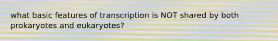 what basic features of transcription is NOT shared by both prokaryotes and eukaryotes?