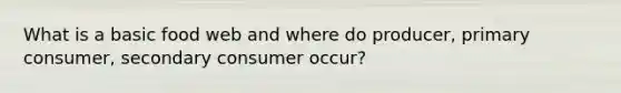 What is a basic food web and where do producer, primary consumer, secondary consumer occur?