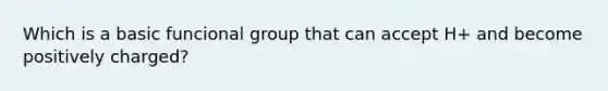 Which is a basic funcional group that can accept H+ and become positively charged?