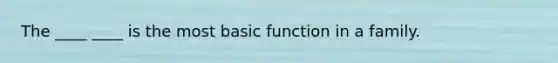 The ____ ____ is the most basic function in a family.