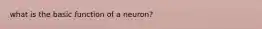 what is the basic function of a neuron?