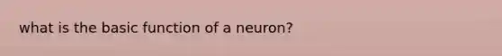 what is the basic function of a neuron?