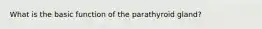 What is the basic function of the parathyroid gland?