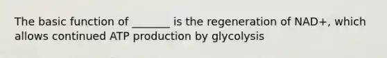 The basic function of _______ is the regeneration of NAD+, which allows continued ATP production by glycolysis