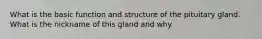 What is the basic function and structure of the pituitary gland. What is the nickname of this gland and why.