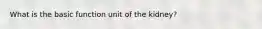 What is the basic function unit of the kidney?