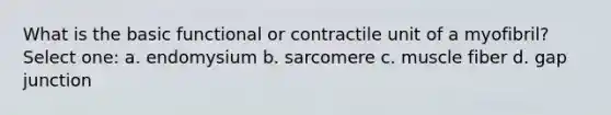 What is the basic functional or contractile unit of a myofibril? Select one: a. endomysium b. sarcomere c. muscle fiber d. gap junction