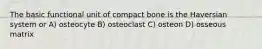 The basic functional unit of compact bone is the Haversian system or A) osteocyte B) osteoclast C) osteon D) osseous matrix