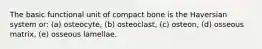 The basic functional unit of compact bone is the Haversian system or: (a) osteocyte, (b) osteoclast, (c) osteon, (d) osseous matrix, (e) osseous lamellae.