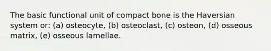 The basic functional unit of compact bone is the Haversian system or: (a) osteocyte, (b) osteoclast, (c) osteon, (d) osseous matrix, (e) osseous lamellae.