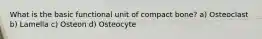 What is the basic functional unit of compact bone? a) Osteoclast b) Lamella c) Osteon d) Osteocyte