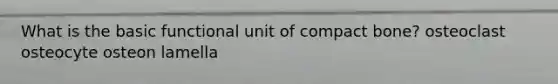 What is the basic functional unit of compact bone? osteoclast osteocyte osteon lamella