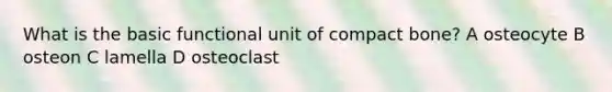 What is the basic functional unit of compact bone? A osteocyte B osteon C lamella D osteoclast