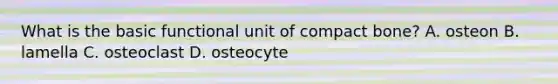 What is the basic functional unit of compact bone? A. osteon B. lamella C. osteoclast D. osteocyte