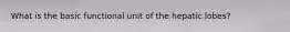 What is the basic functional unit of the hepatic lobes?