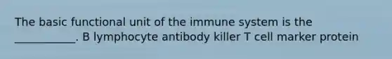 The basic functional unit of the immune system is the ___________. B lymphocyte antibody killer T cell marker protein